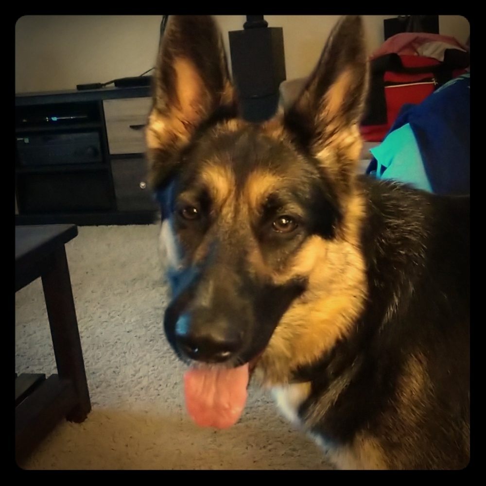 🇺🇸🇺🇸🇺🇸 means 3 for $15 🇺🇸🇺🇸🇺🇸🇺🇸